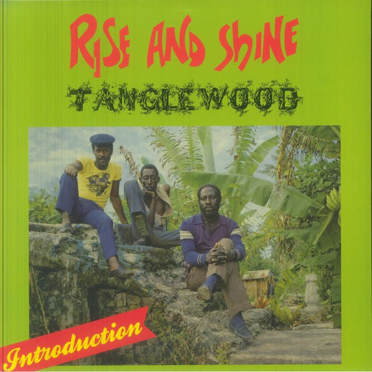 Rise & Shine - Vinyl LP vinyl record cover