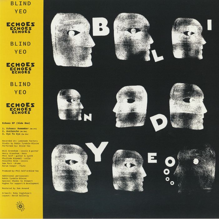 Echoes / Anam Cara - Limited Edition Vinyl LP vinyl record cover