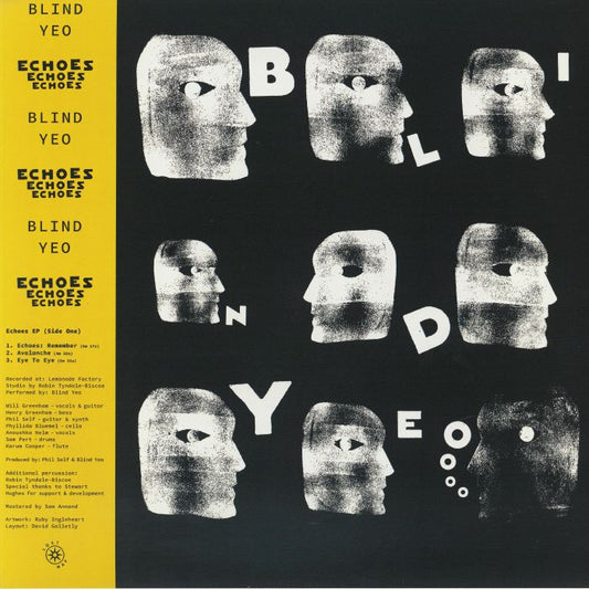 Echoes / Anam Cara - Limited Edition Vinyl LP vinyl record cover
