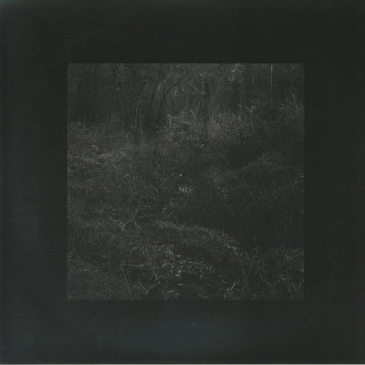 Transient - Vinyl LP vinyl record cover