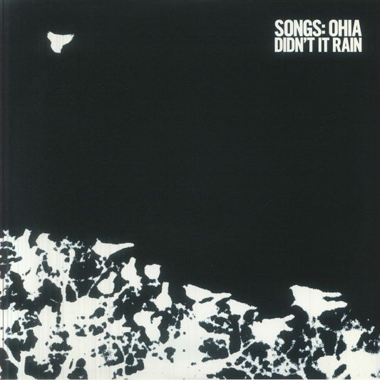 Didn't It Rain - Eco Vinyl LP vinyl record cover