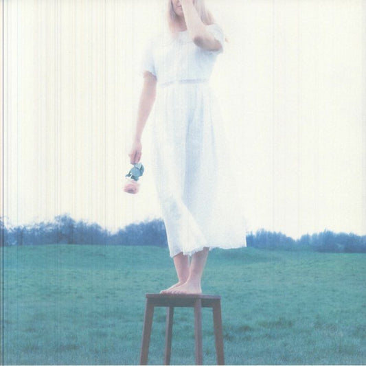 New Love - Vinyl LP vinyl record cover