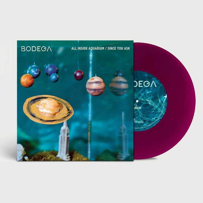 All Inside Aquarium - Purple Vinyl Single vinyl record cover