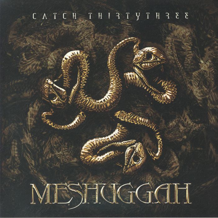 Catch Thirtythree - 20th Anniversary Marbled 2xLP vinyl record cover