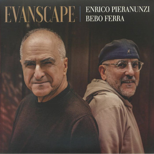 Evanscape - Vinyl LP vinyl record cover