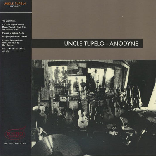 Anodyne - Limited Edition 180g Vinyl LP vinyl record cover