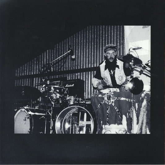 The Palm Leaves Of Victory / Audio Letter To Mitch Myers - Deluxe Edition 2xLP vinyl record cover
