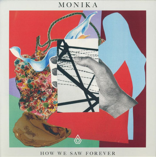 How We Saw Forever - Vinyl LP vinyl record cover