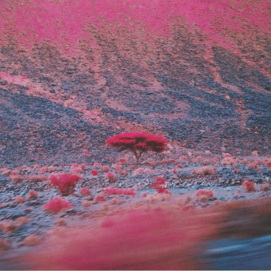 Kairos - 2xLP vinyl record cover