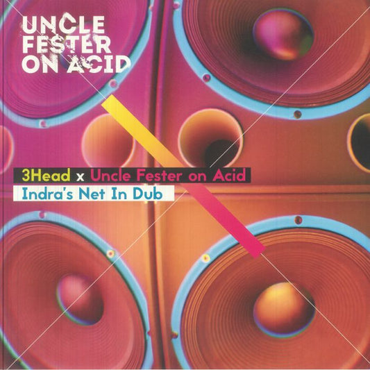 Indra's Net In Dub - Vinyl LP vinyl record cover