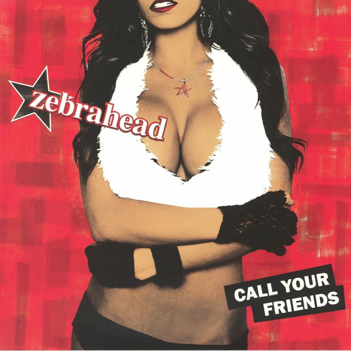 Call Your Friends - Vinyl LP vinyl record cover