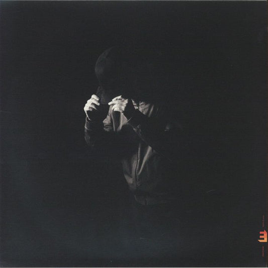 Light Of Day - Vinyl LP vinyl record cover