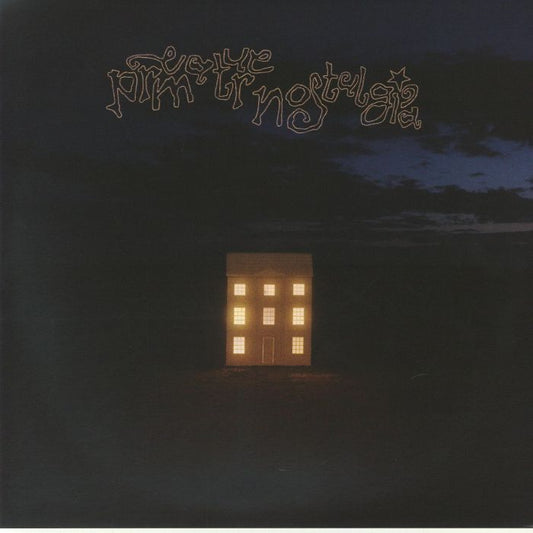 Premature Nostalgia - Vinyl LP vinyl record cover