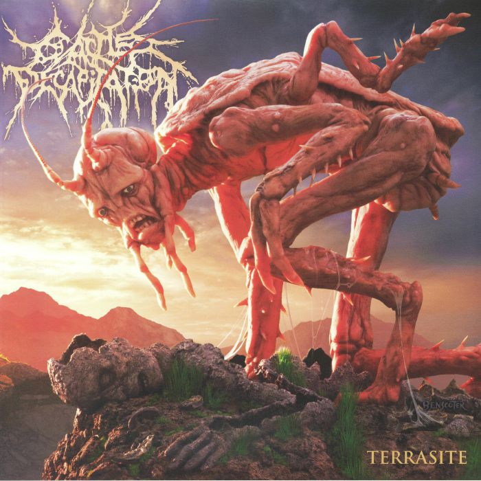 Terrasite - Gold & Black Ice 2xLP vinyl record cover