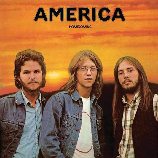 Homecoming - Remastered 180 Gram 2xLP vinyl record cover