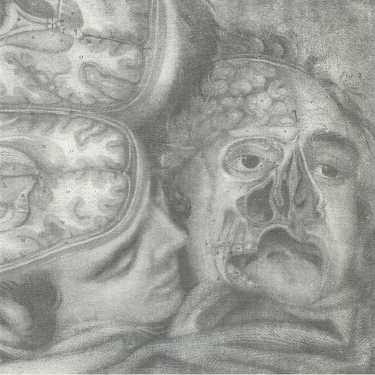 Genocide Organ - 2xLP vinyl record cover