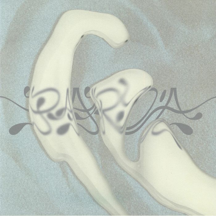 5 Years Paryia - 2xLP vinyl record cover