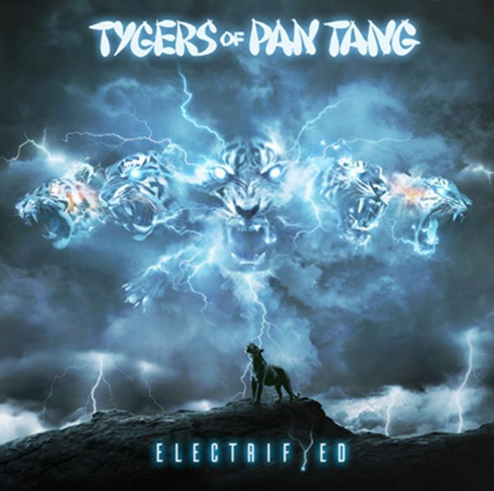 Electrifyed - Vinyl LP vinyl record cover