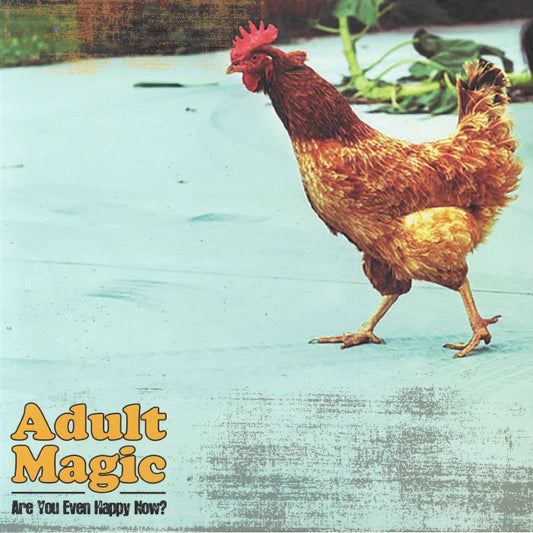 Are You Even Happy Now? - Vinyl LP vinyl record cover