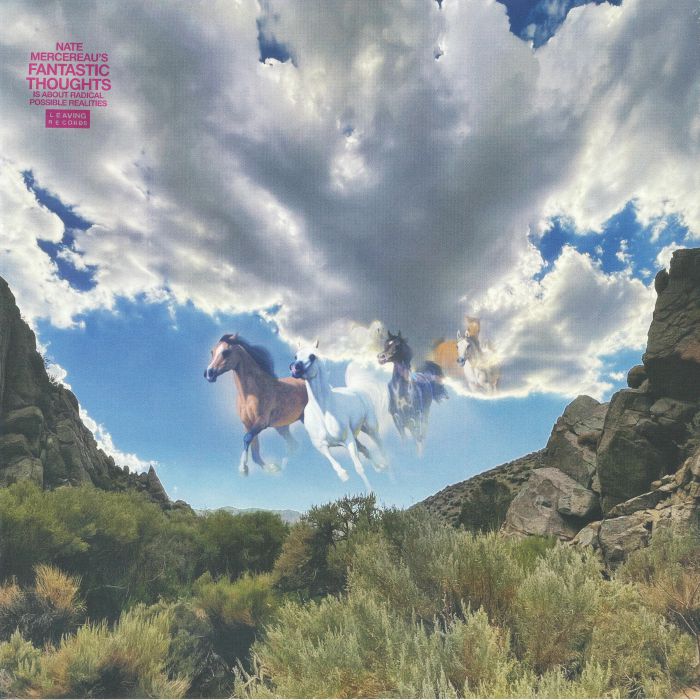 Fantastic Thoughts - Vinyl LP vinyl record cover