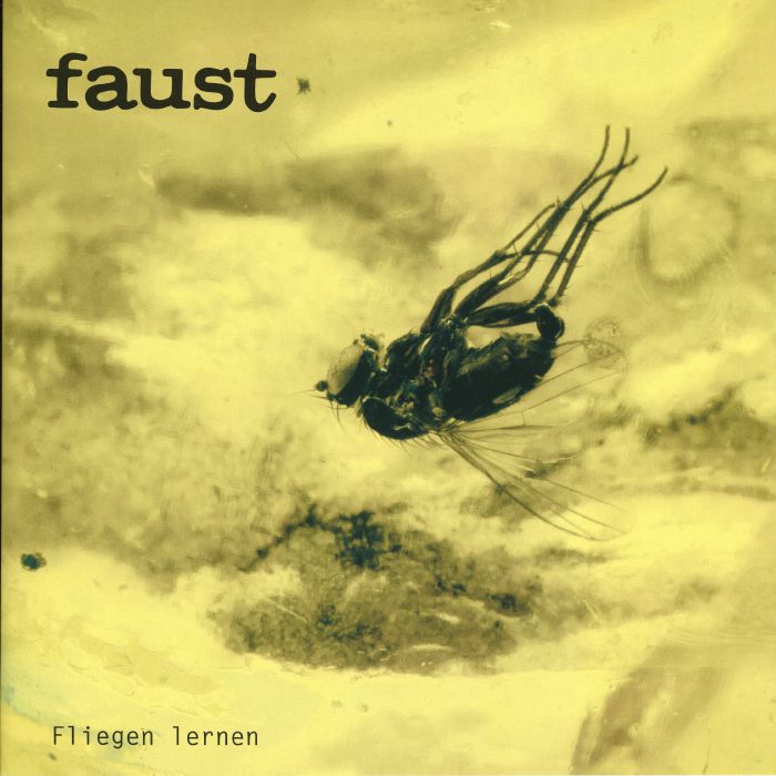 Fliegen Lernen - Limited Edition Clear Vinyl LP vinyl record cover