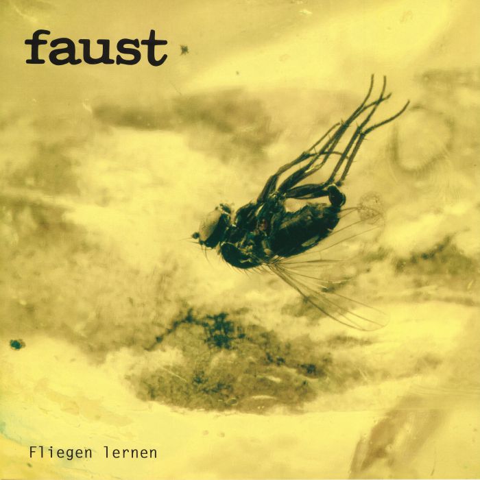 Fliegen Lernen - Vinyl LP vinyl record cover
