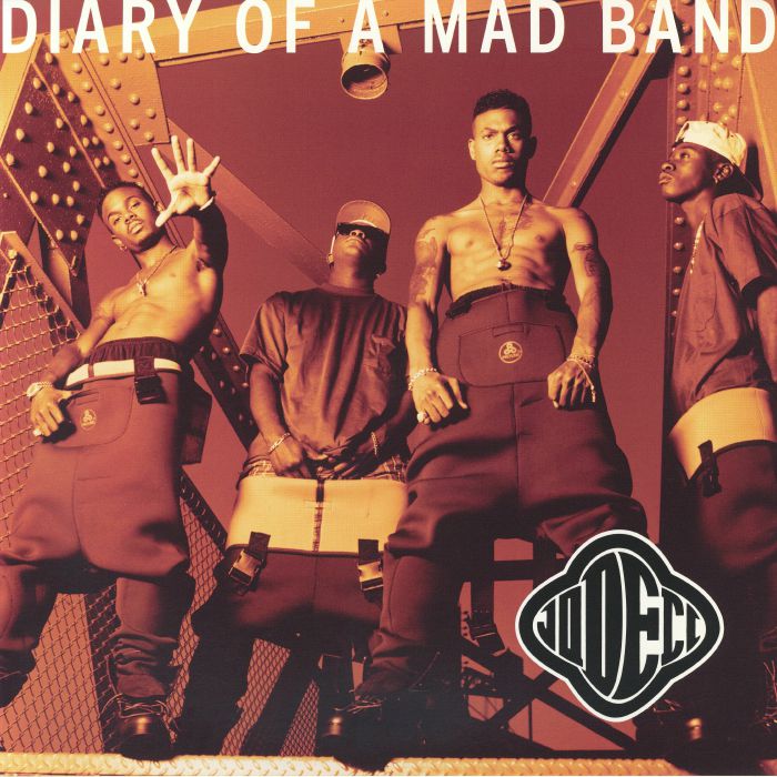Diary Of A Mad Band - Vinyl LP vinyl record cover