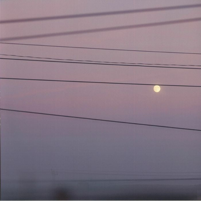 Long Slow Distance - Vinyl LP vinyl record cover