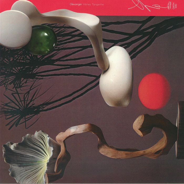 Honey Tangerine - Vinyl LP vinyl record cover