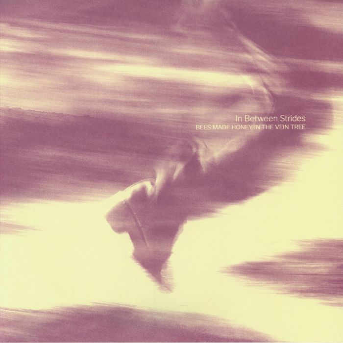 In Between Strides - Limited Edition Purple & White Galaxy Vinyl LP vinyl record cover