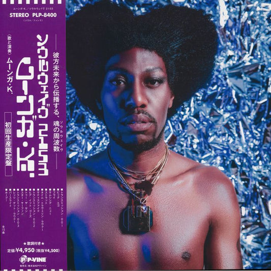 Soulwave 2153 - Vinyl LP vinyl record cover