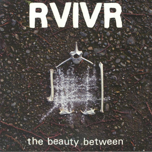 The Beauty Between - Black & Clear Vinyl LP vinyl record cover