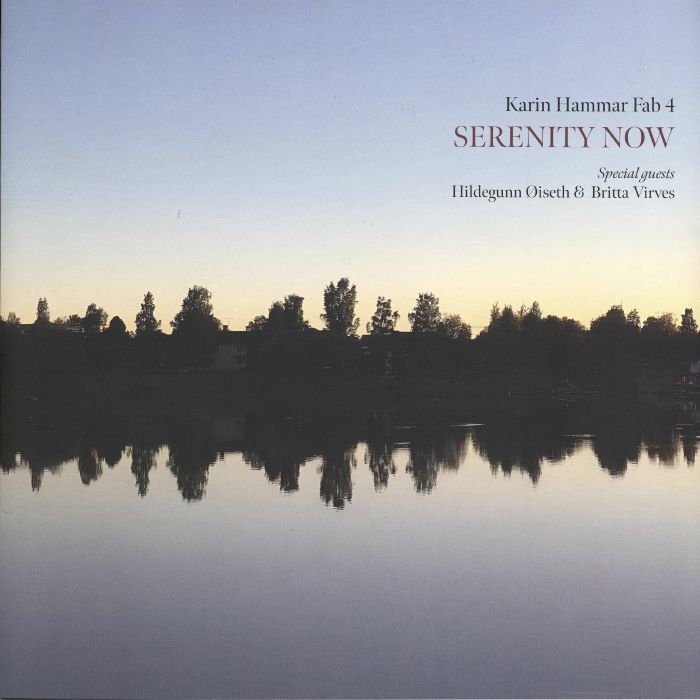 Serenity Now - Vinyl LP vinyl record cover