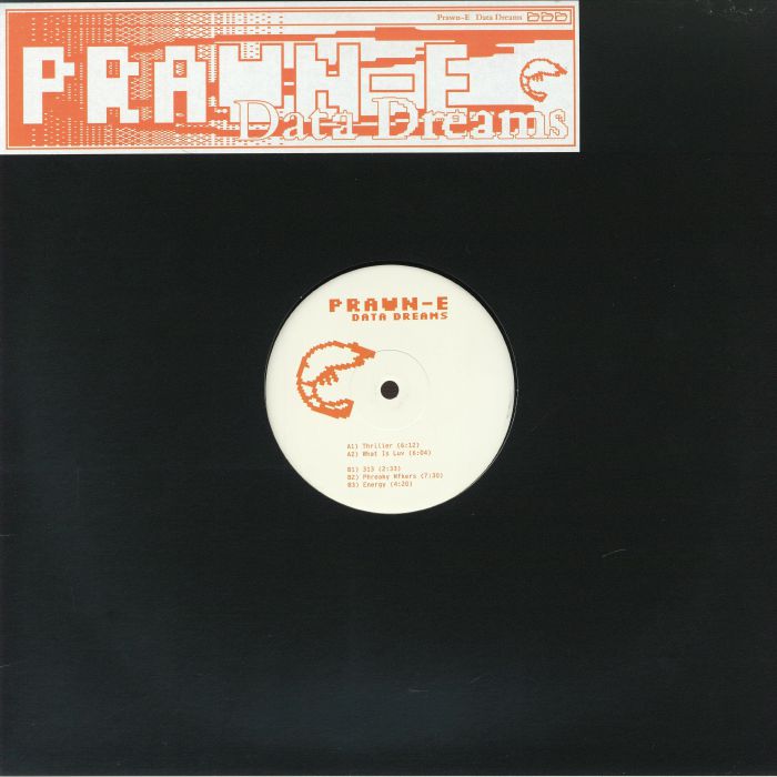 Data Dreams - 12" Vinyl vinyl record cover