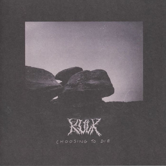 Choosing To Die - Silver Vinyl LP vinyl record cover