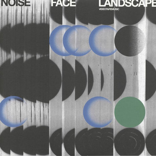 Noise Face Landscape - Vinyl LP vinyl record cover