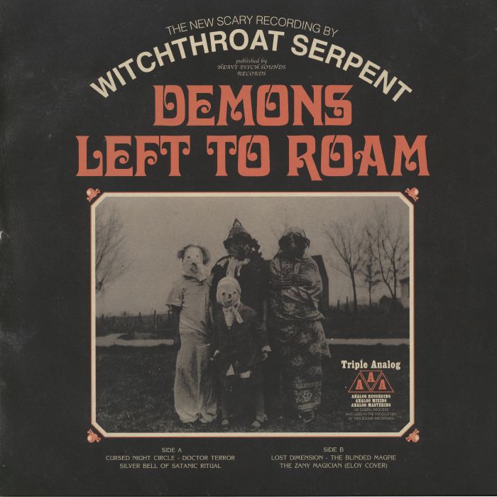 Demons Left To Roam - Orange Vinyl LP vinyl record cover