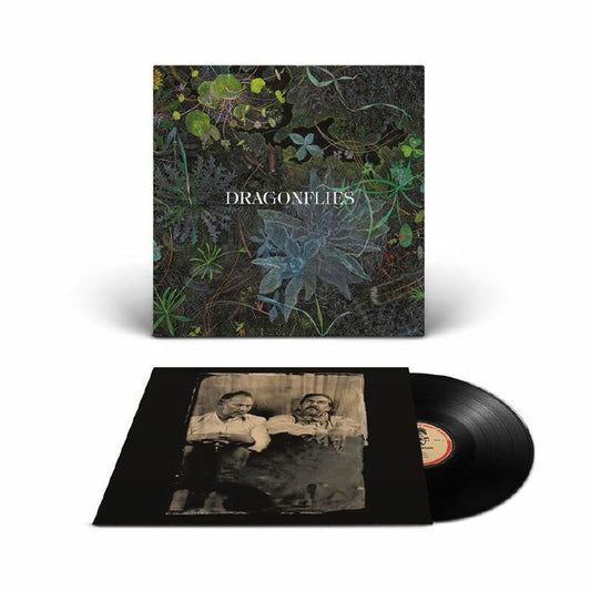 Dragonflies - Black Vinyl LP vinyl record cover