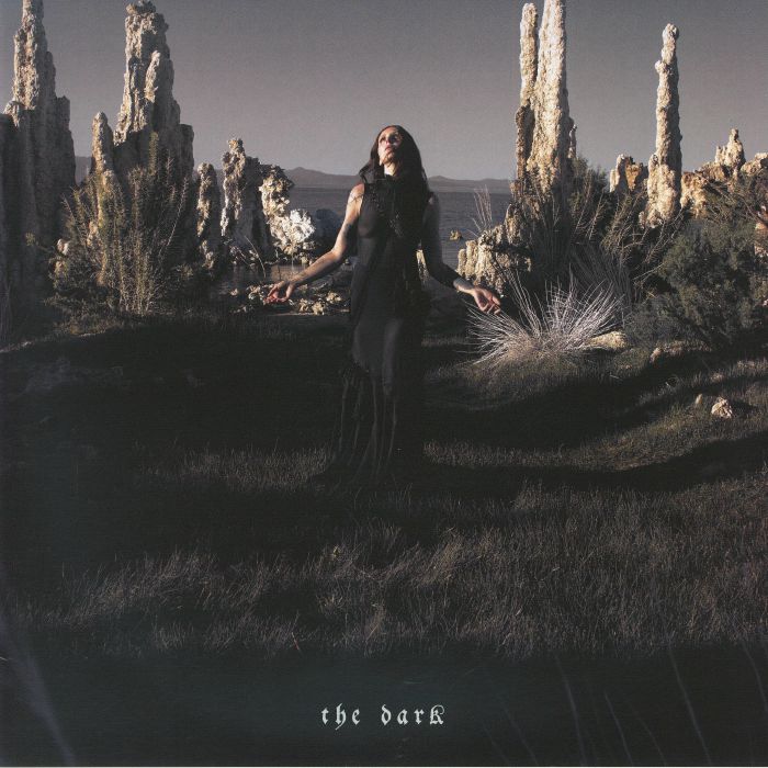 The Dark - Vinyl LP vinyl record cover