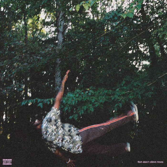 Fish Don't Climb Trees - Vinyl LP vinyl record cover