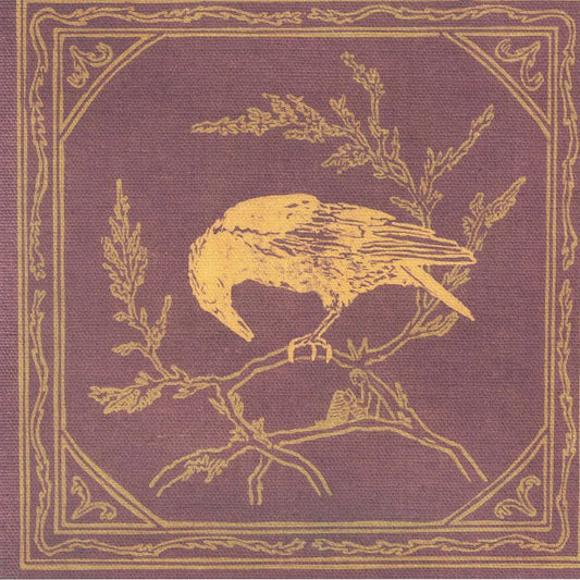 Bound For The Sky - Limited Edition 10 Inch Vinyl EP vinyl record cover