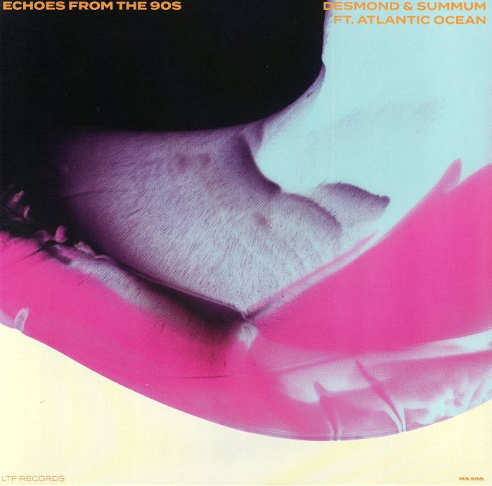 Echoes From The 90s - Vinyl Single vinyl record cover