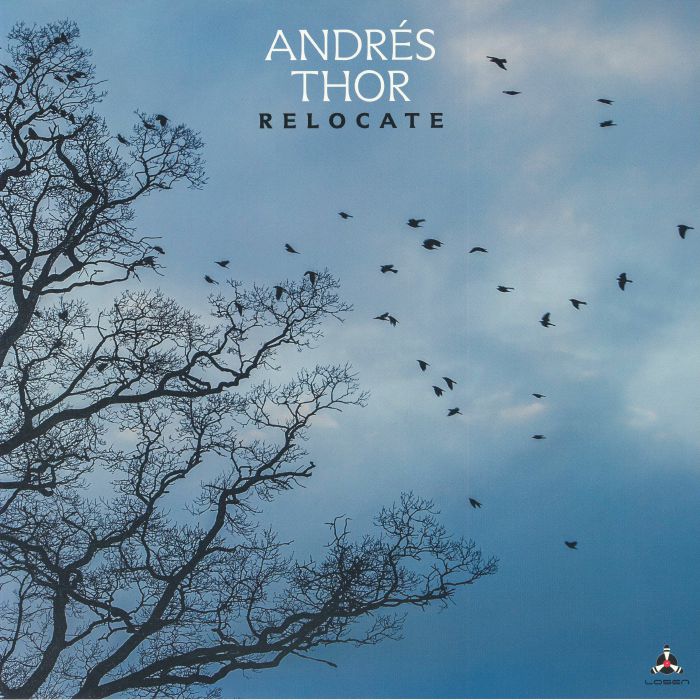 Relocate - Vinyl LP vinyl record cover