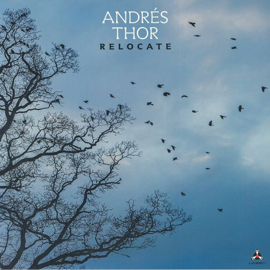 Relocate - Vinyl LP vinyl record cover
