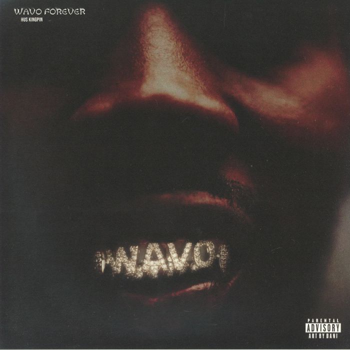 Wavo Forever - Vinyl LP vinyl record cover