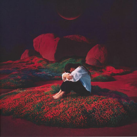 Bloom Gloom - Vinyl LP vinyl record cover