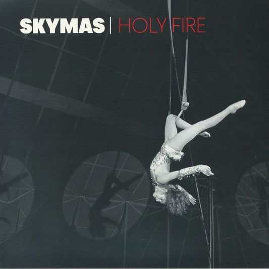 Holy Fire - Vinyl LP vinyl record cover