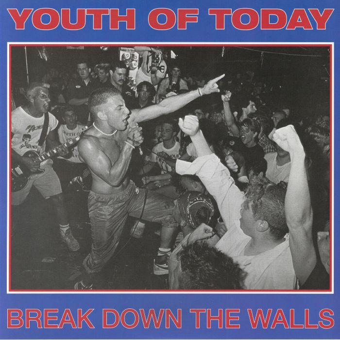 Break Down The Walls - Purple Vinyl LP vinyl record cover