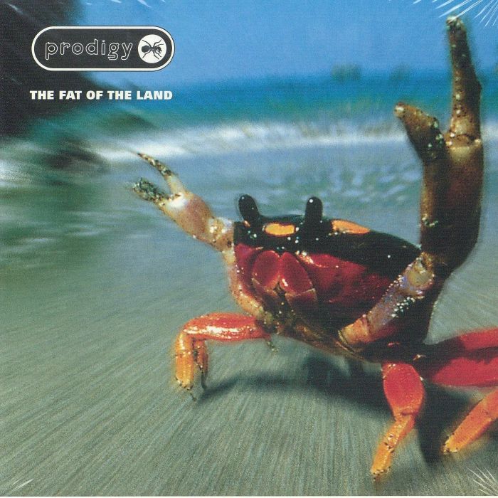 The Fat Of The Land - CD CD cover