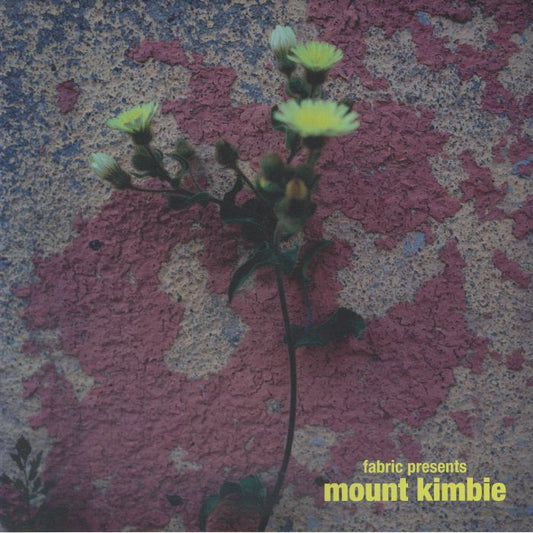 Fabric Presents Mount Kimbie - 2xLP vinyl record cover